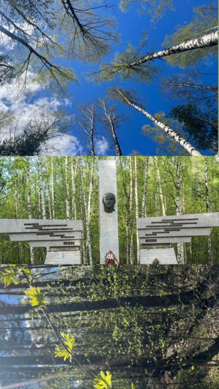 Прогулка по историческому парку Сосновка