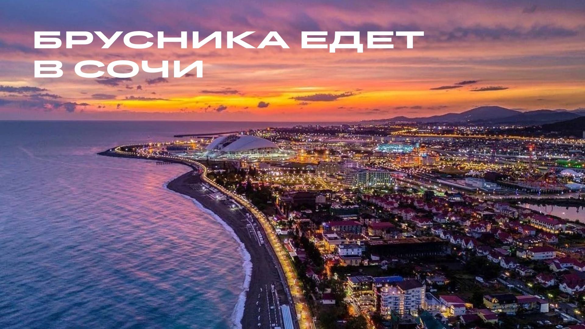 Брусника едет в Сочи