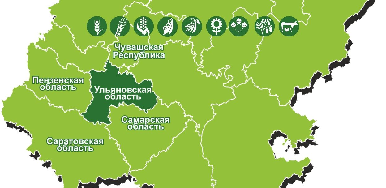 Гектары – в дело! День поля в Ульяновске