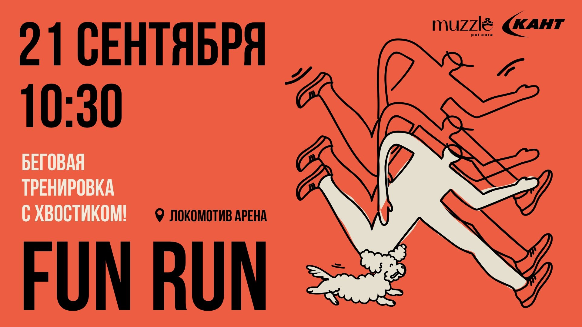На старт, внимание, гав
