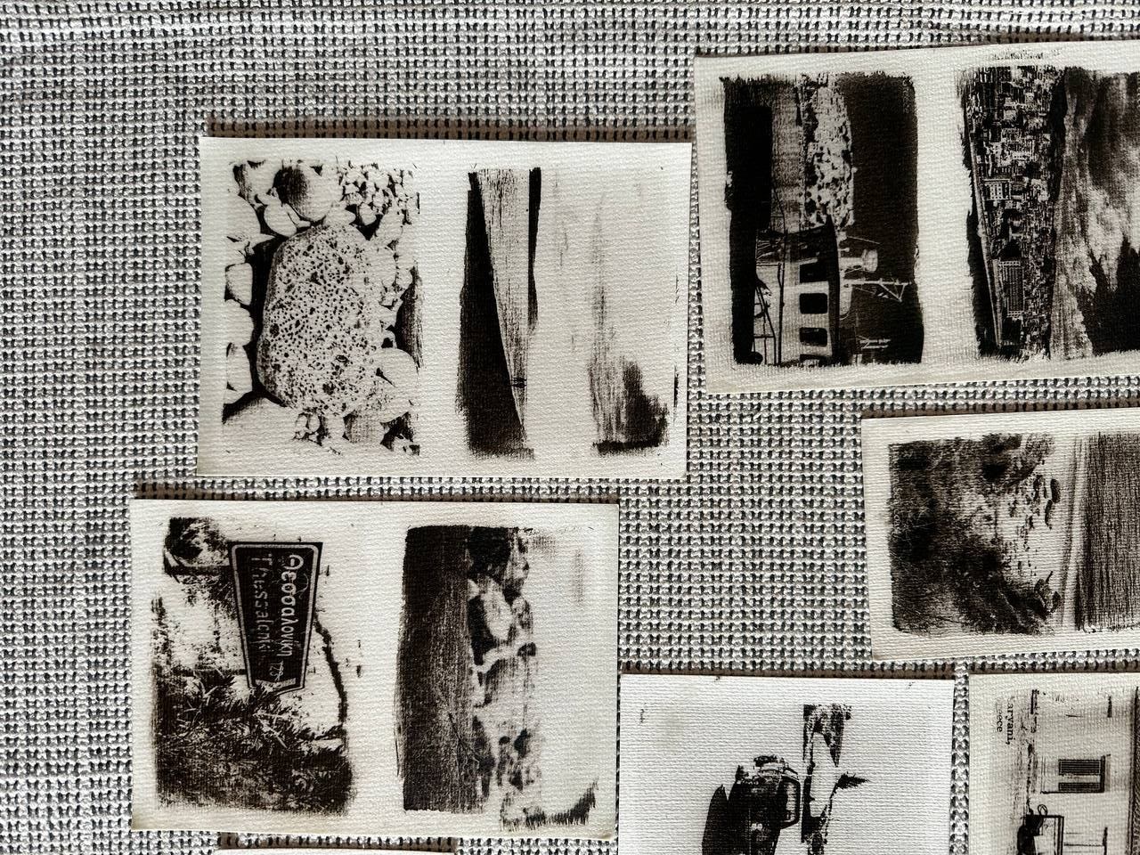 Мастер-класс по цианотипии «Интеллектуальный гербарий» 16+