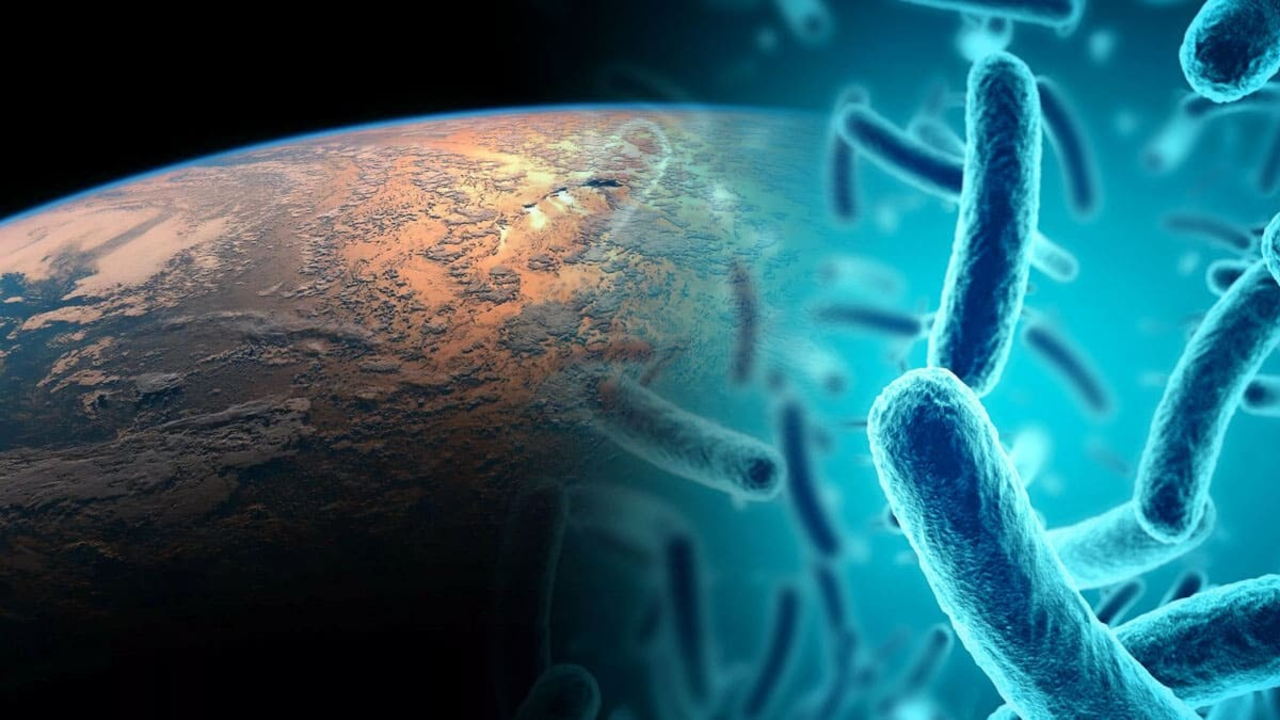 Мастер-класс "Как выжить в космосе без скафандра?"