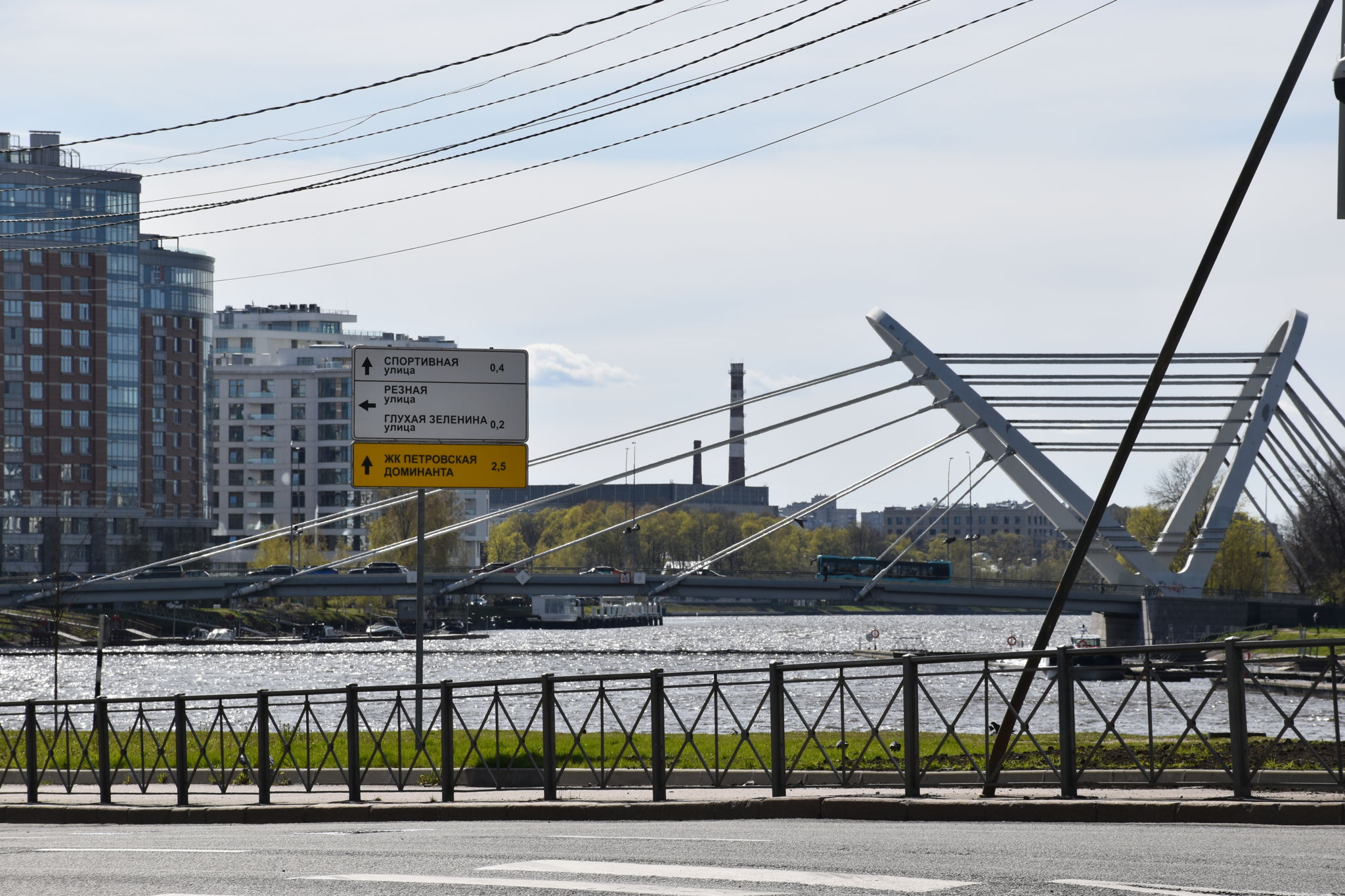 Лекция «Мосты Петроградки»