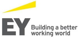 Ernst & Young CIS BV