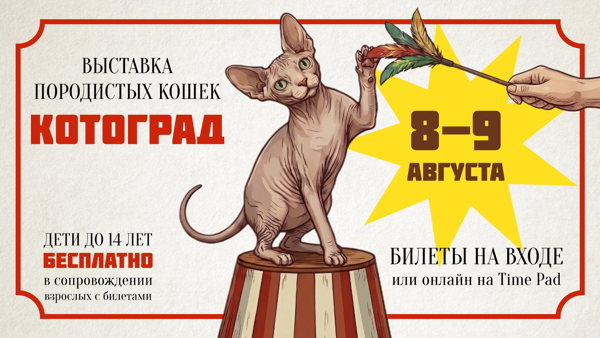 Выставка породистых кошек «Котоград»