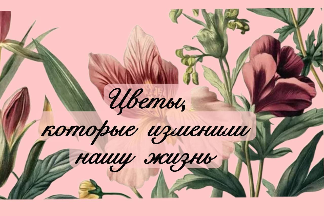Цветы, которые изменили нашу жизнь
