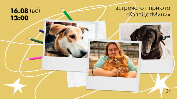 Встреча | «Как стать волонтером приюта для животных?»