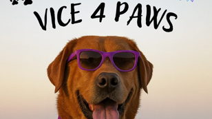 VICE 4 PAWS �