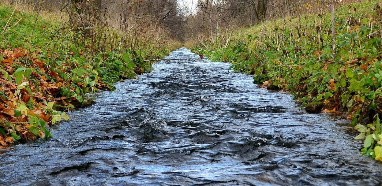 Лекция «Петергофская водоподводящая система»