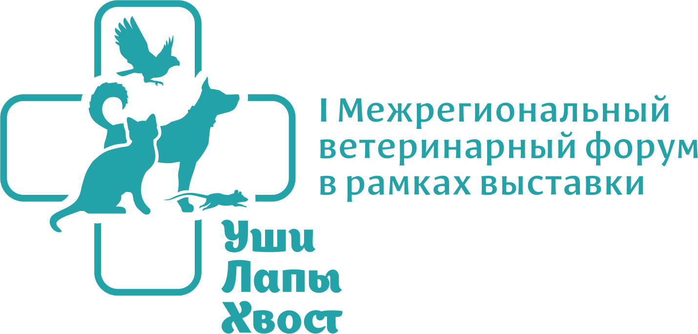 Лапы и хвосты ул города волос 5. Уши, лапы и хвосты. Уши лапы хвост Ветеринария. Уши лапы хвост мой любимый пес. Уши лапы хвост шаблон.