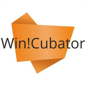 Бизнес-инкубатор Win!cubator – площадка для развития стартапов в Каснодарском крае.