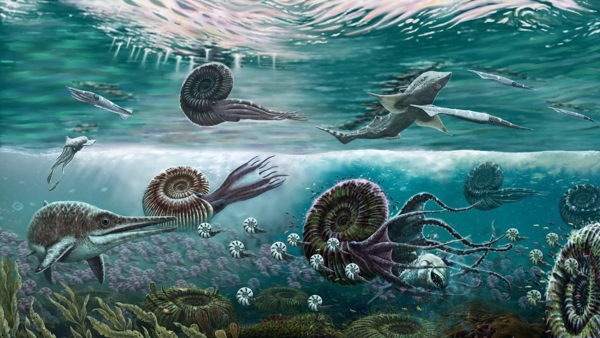 Палеонтологический поход в Фили для 6-12 лет