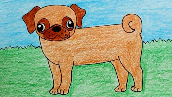 Мастер-класс «Портрет домашнего питомца»