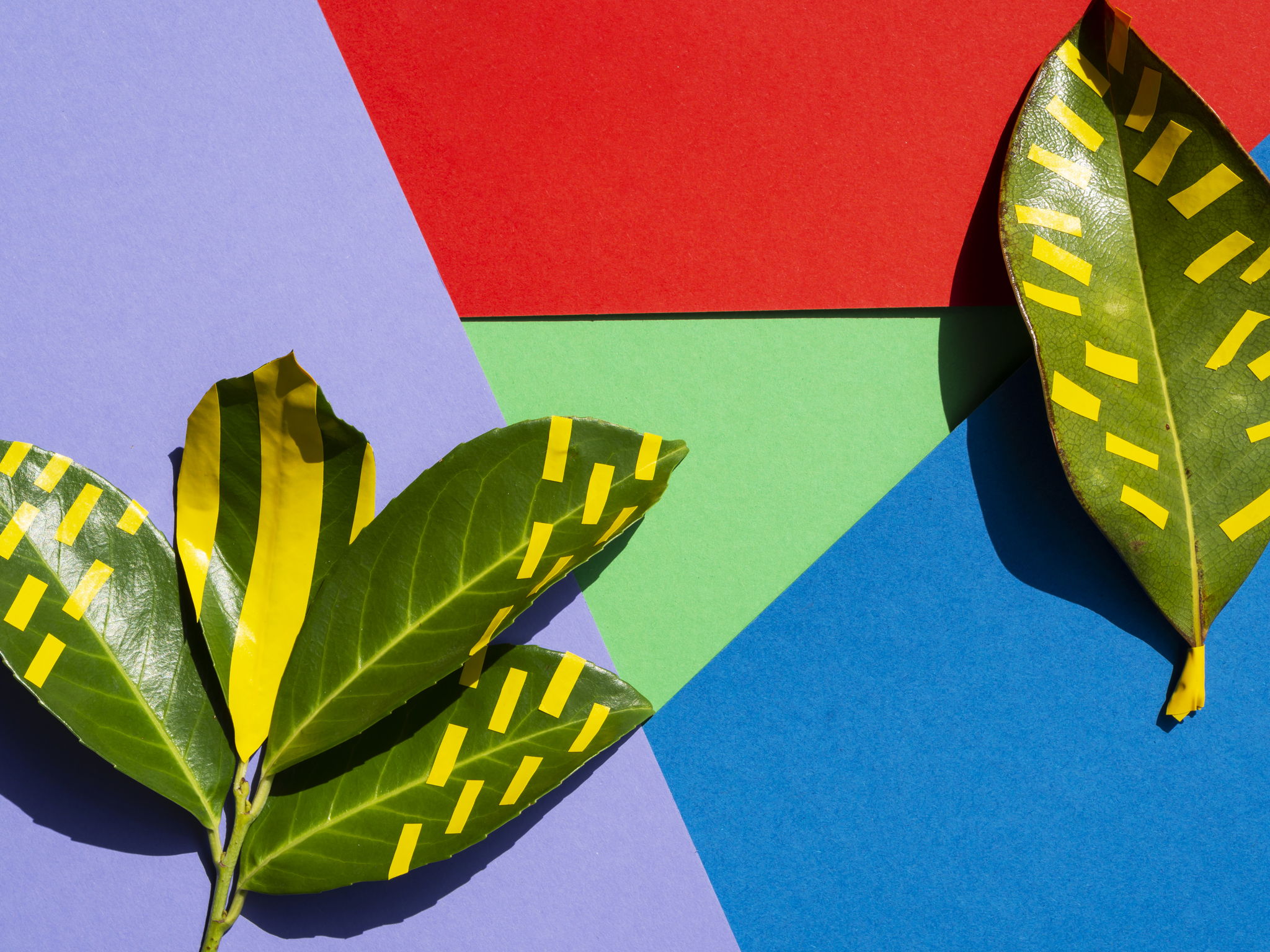 Вебинар "Дизайн‑мастерская": Тренды цвета 2026-2027