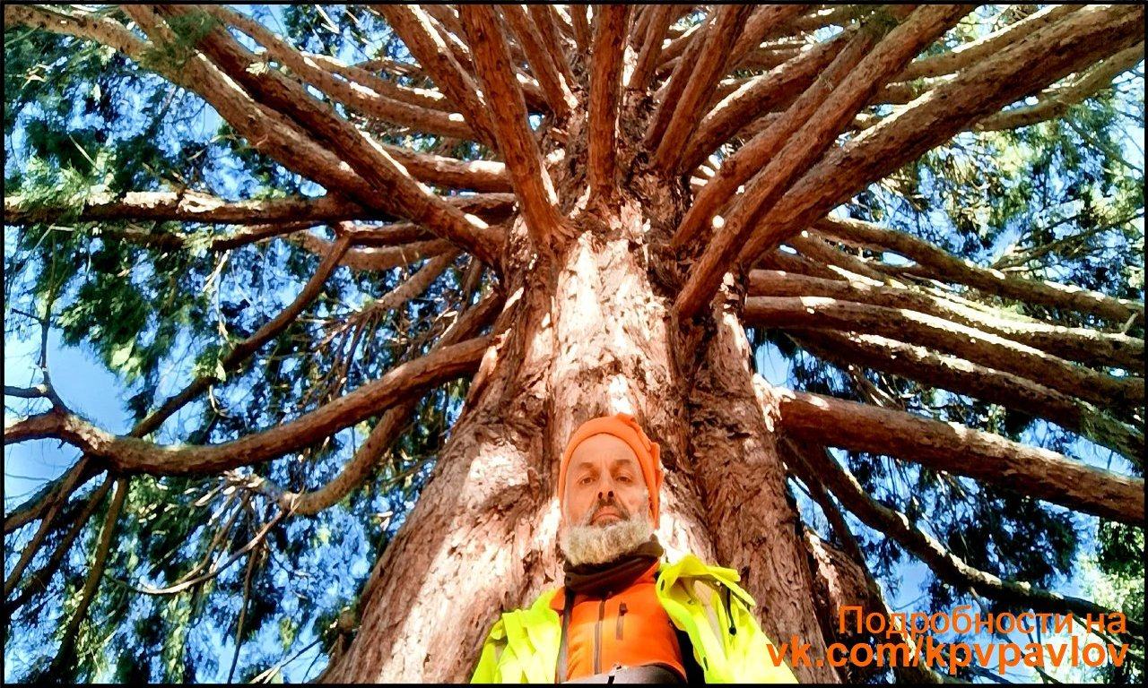 Новая Зеландия, Австралия и Океания