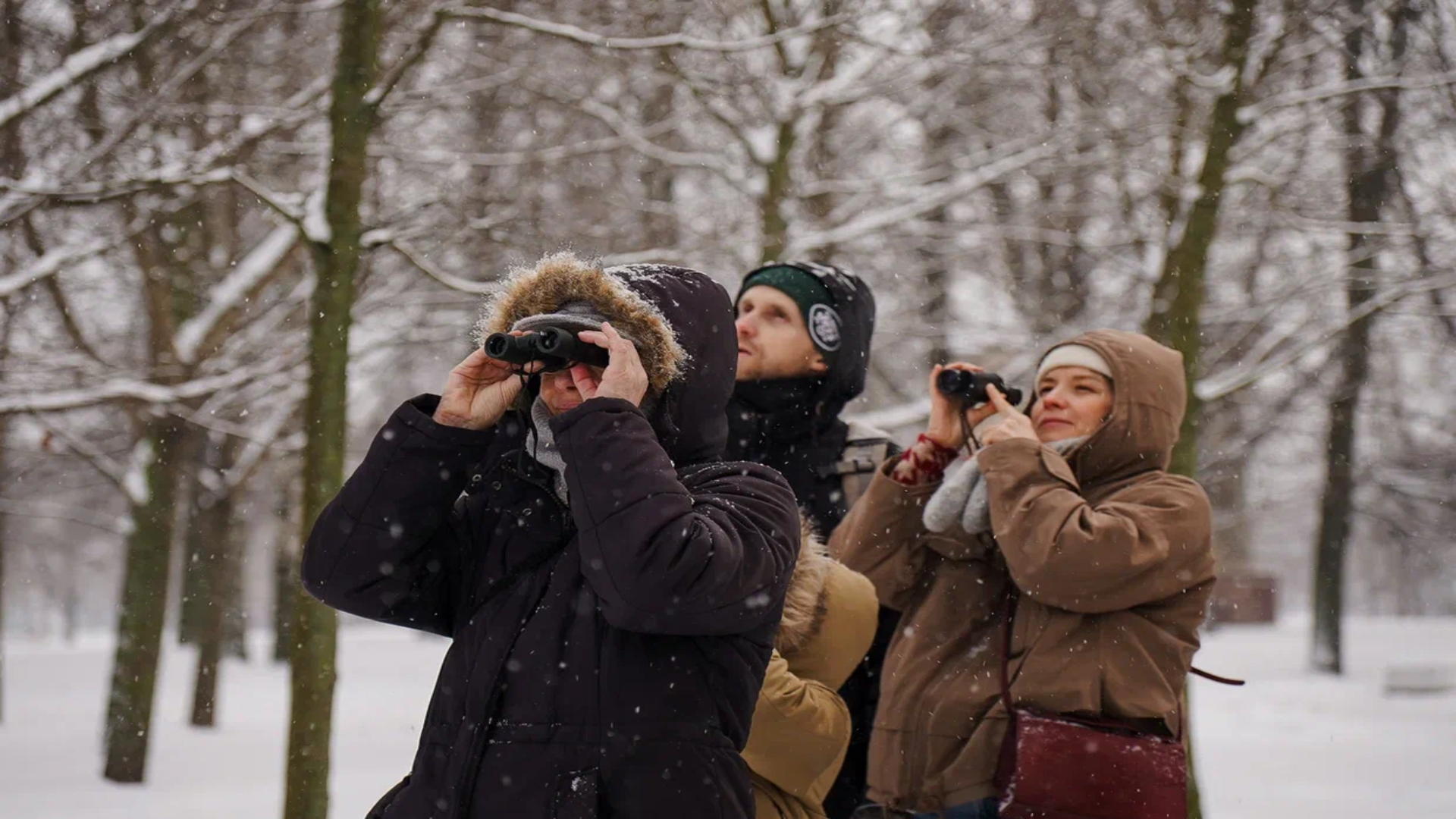 Бесплатная орнитологическая экскурсия в Пискарёвском парке