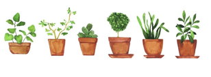 Journée des Plantes для взрослых (18+)   8 сентября 