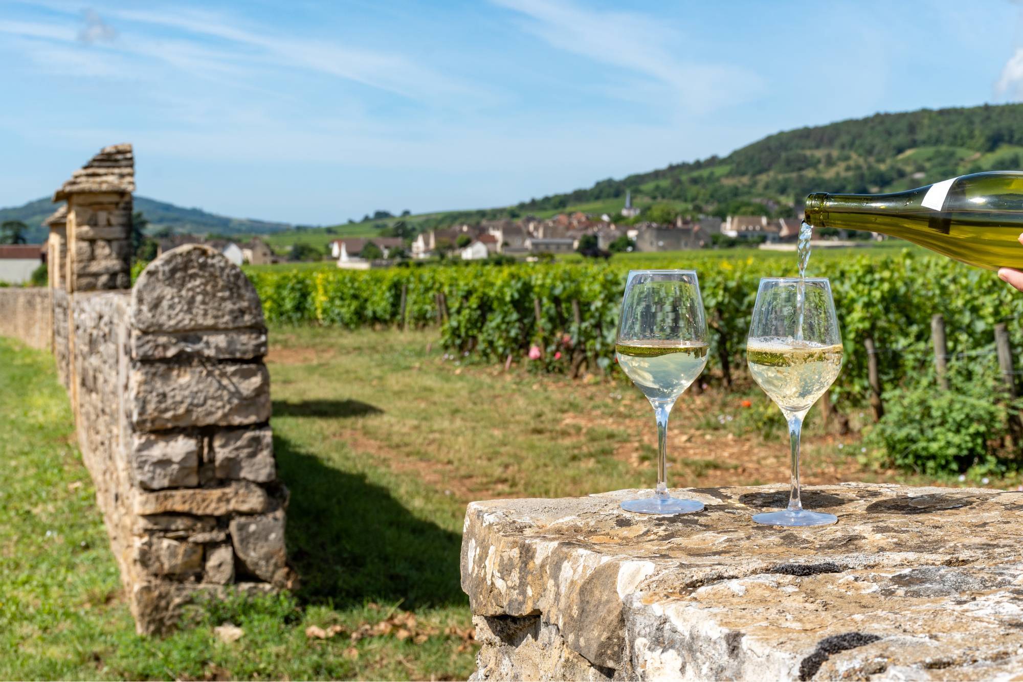 Топовые белые вина Франции