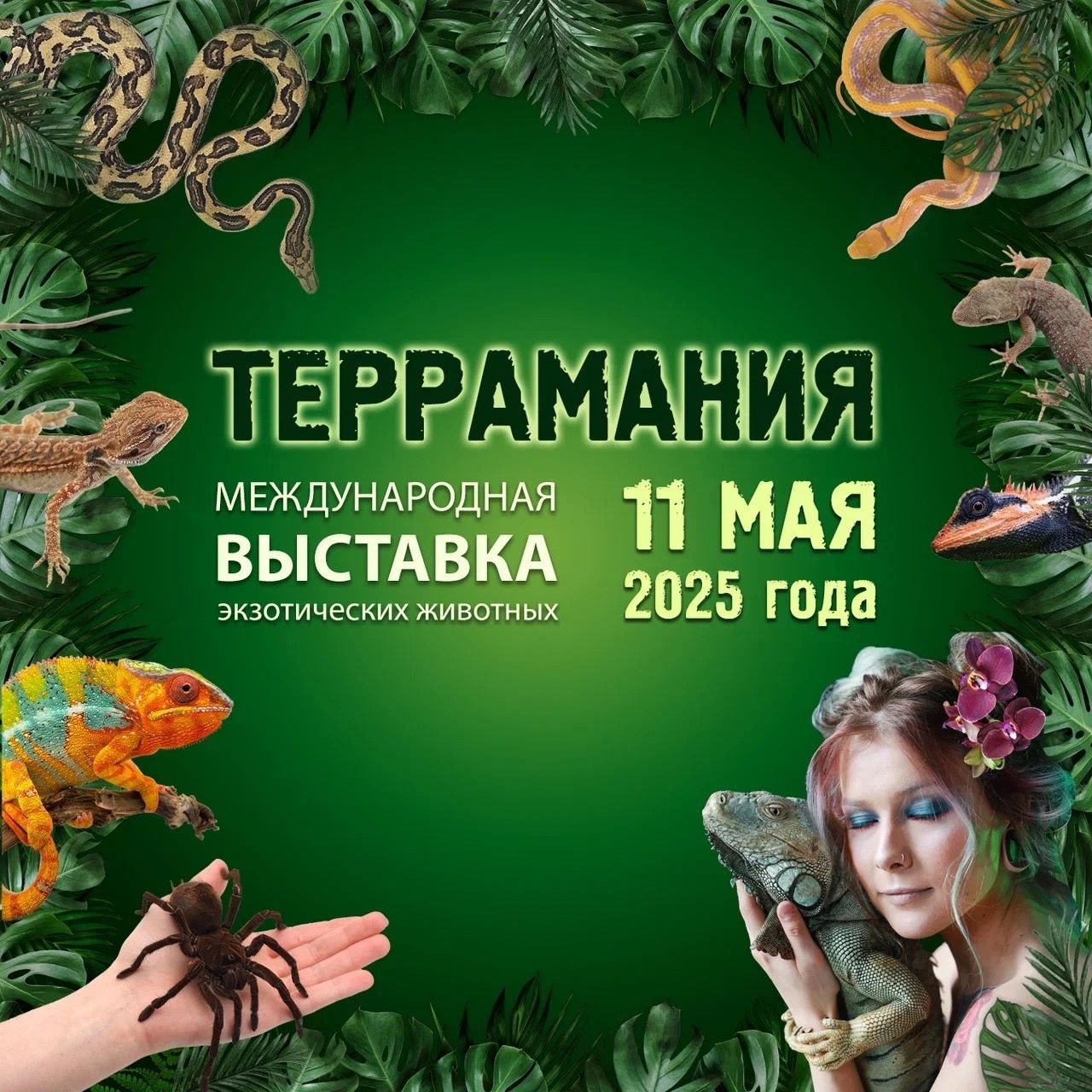 Выставка экзотических животных ТерраМания