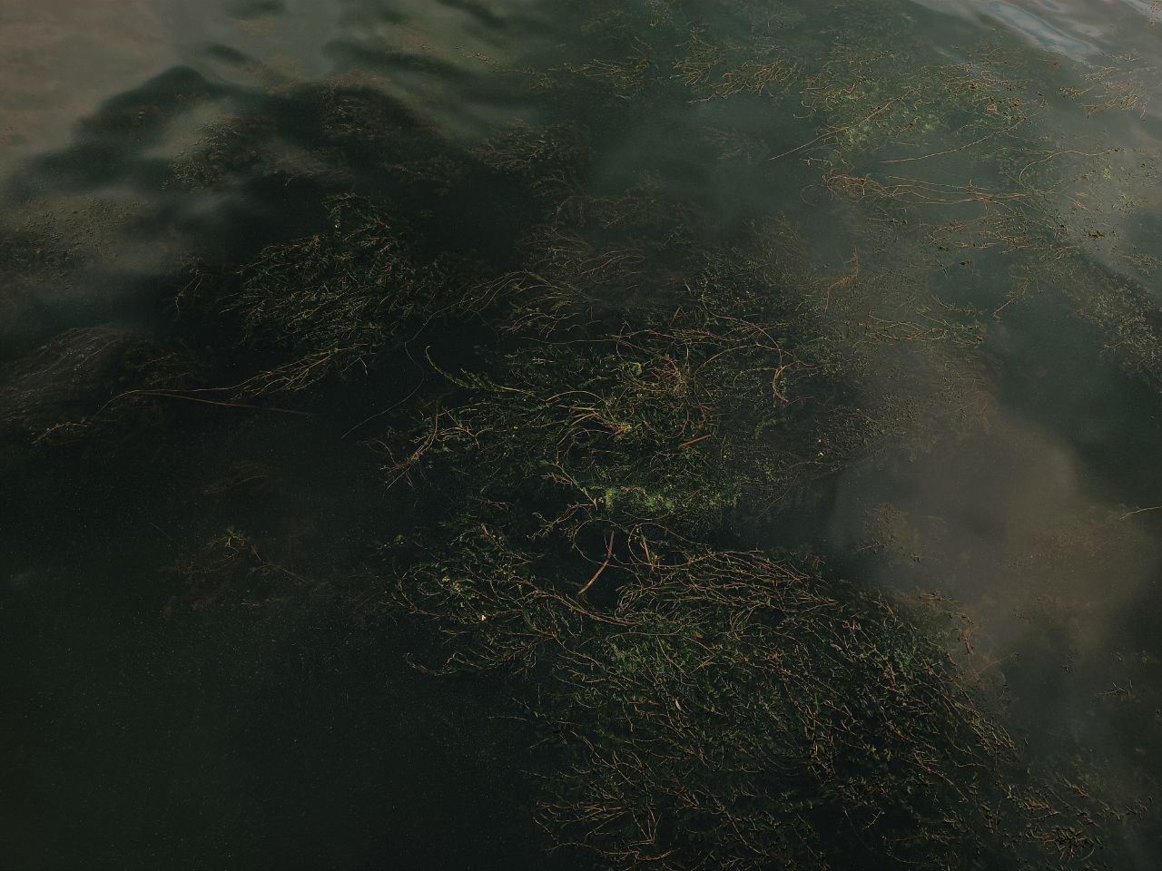 ПЛАСТИЧЕСКИЙ ПЕРФОРМАНС – 19:00