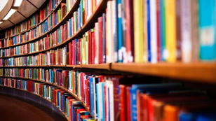 КНИЖНАЯ ЯРМАРКА на английском языке: Любители книг