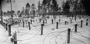 Историческое погружение «Лесное эхо войны»