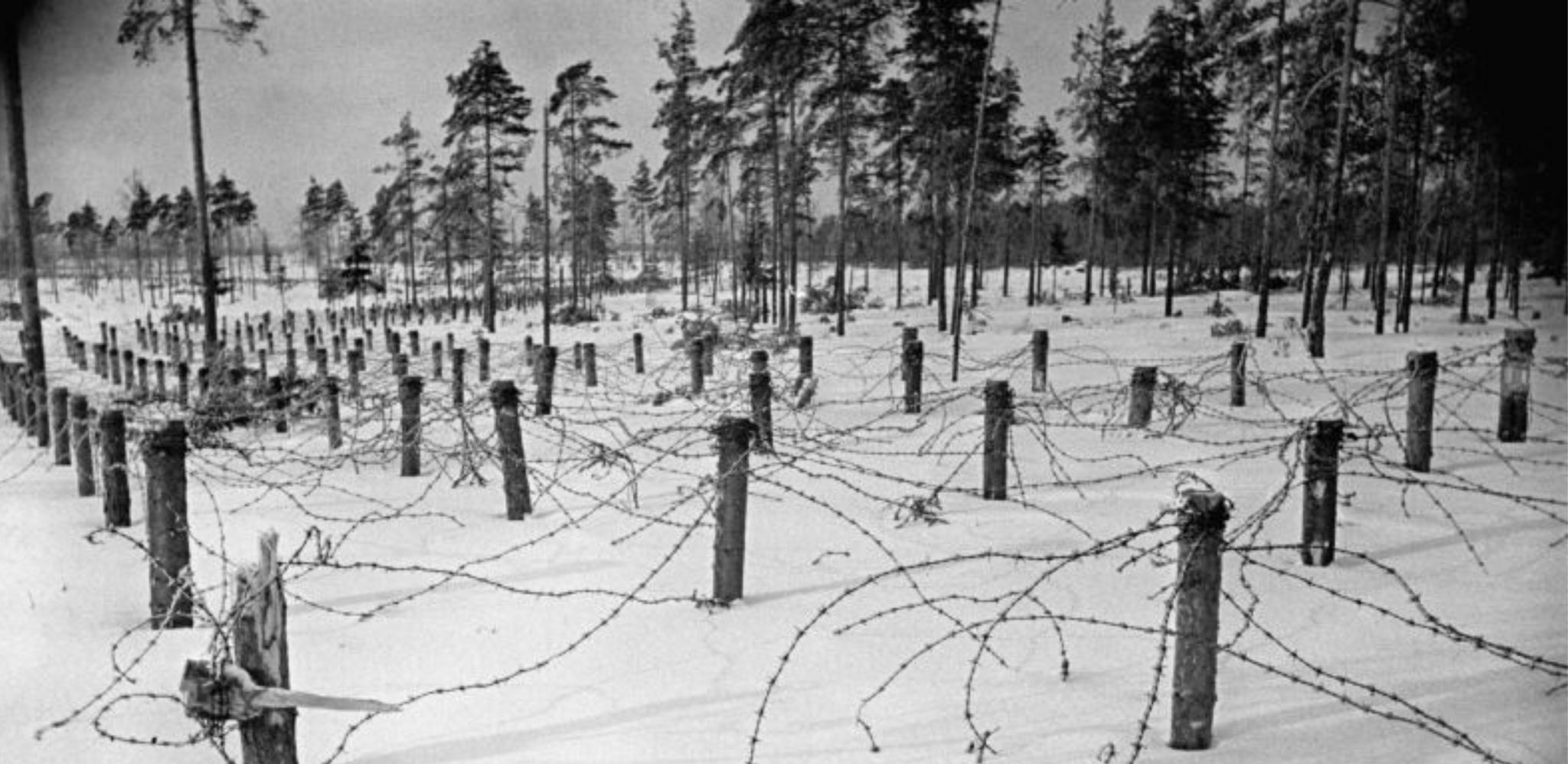 Историческое погружение «Лесное эхо войны»