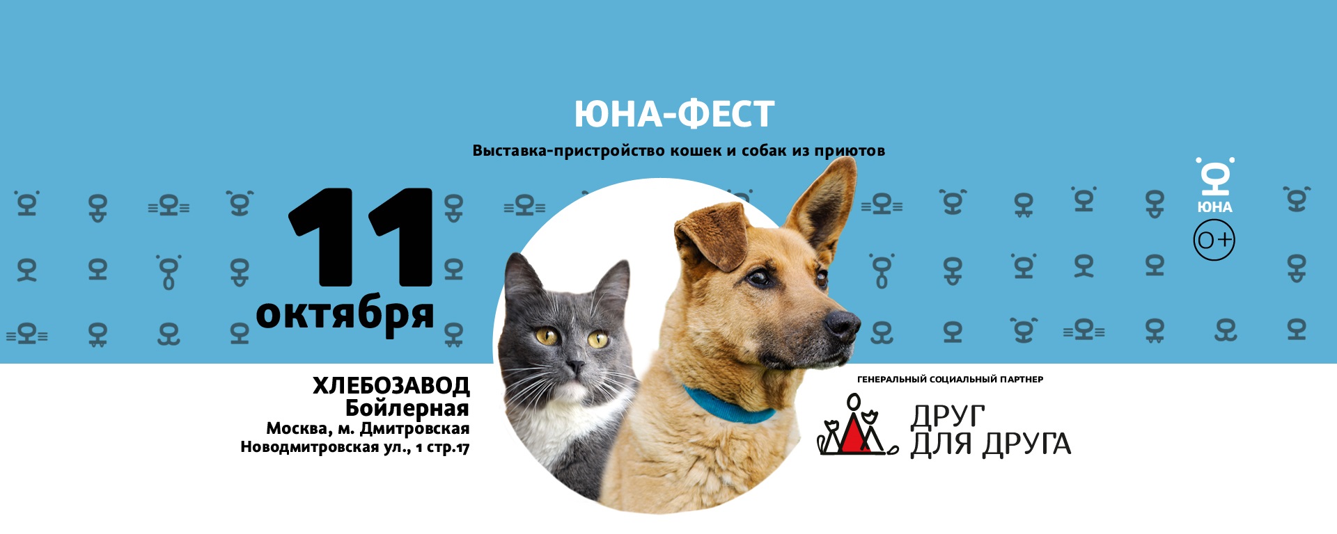 Юна-Фест. Выставка-пристройство животных из приюта