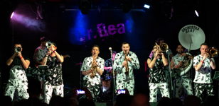 ORCHESTRA BEAT концерт в клубе"MOD" 06.05