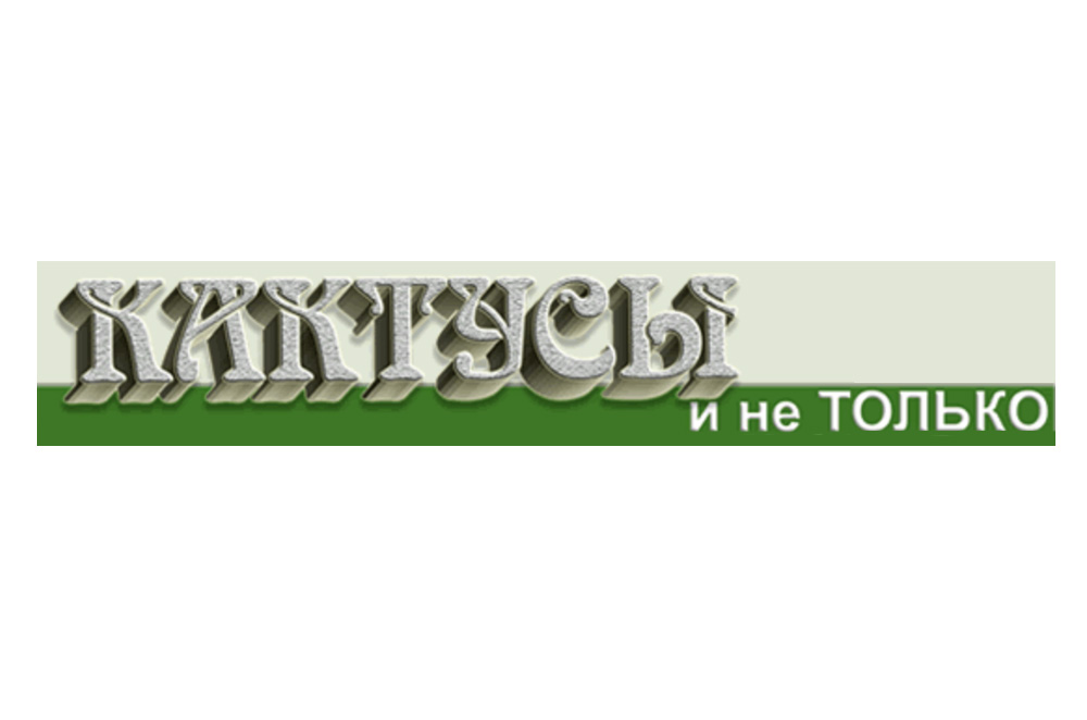 Кактусы и не только