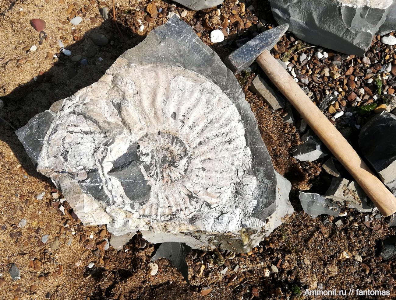 Экскурсия в Музей научного наследия ИМБТ СО РАН + палеонтологический МК "Чем я не мамонт?!"