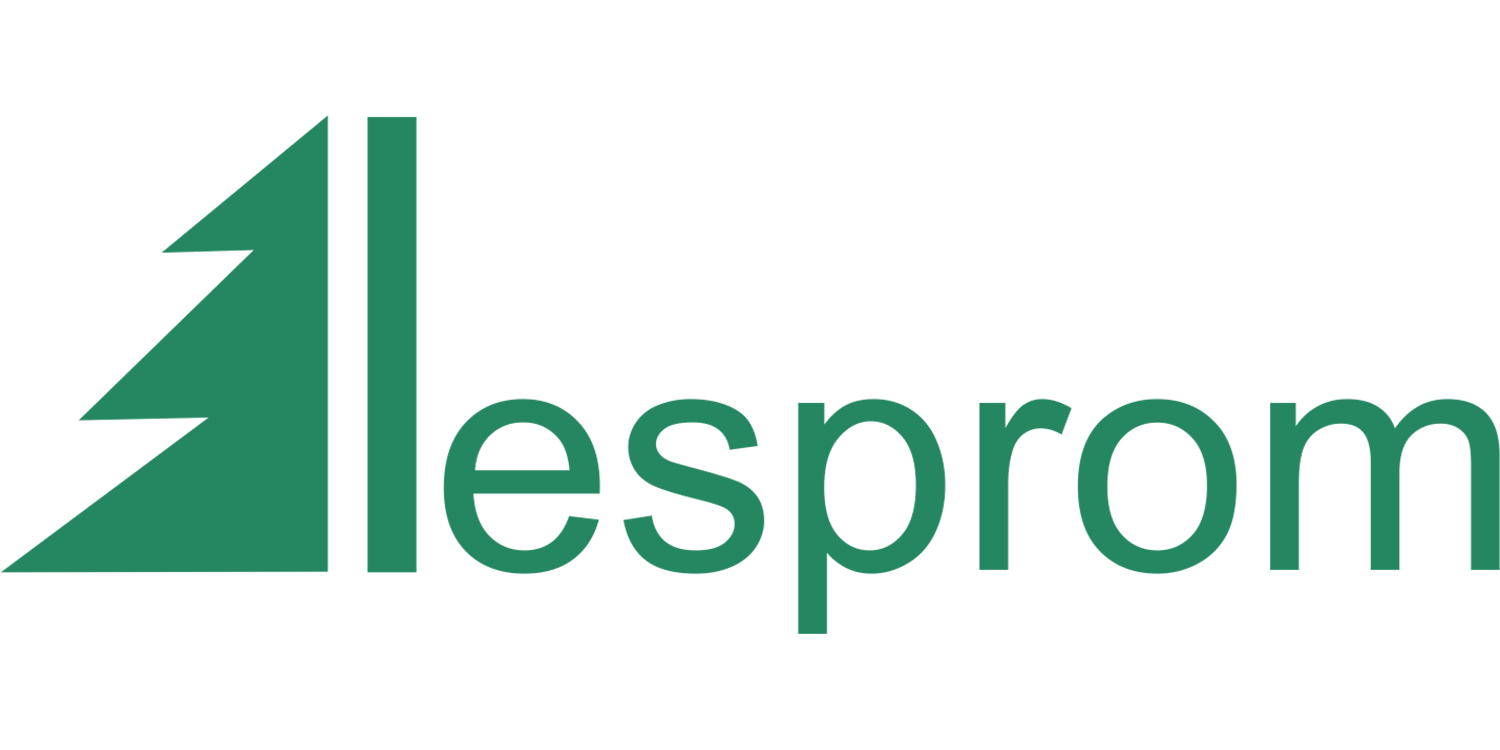 Lesprom Network