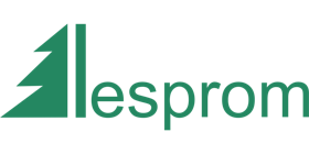 Lesprom Network