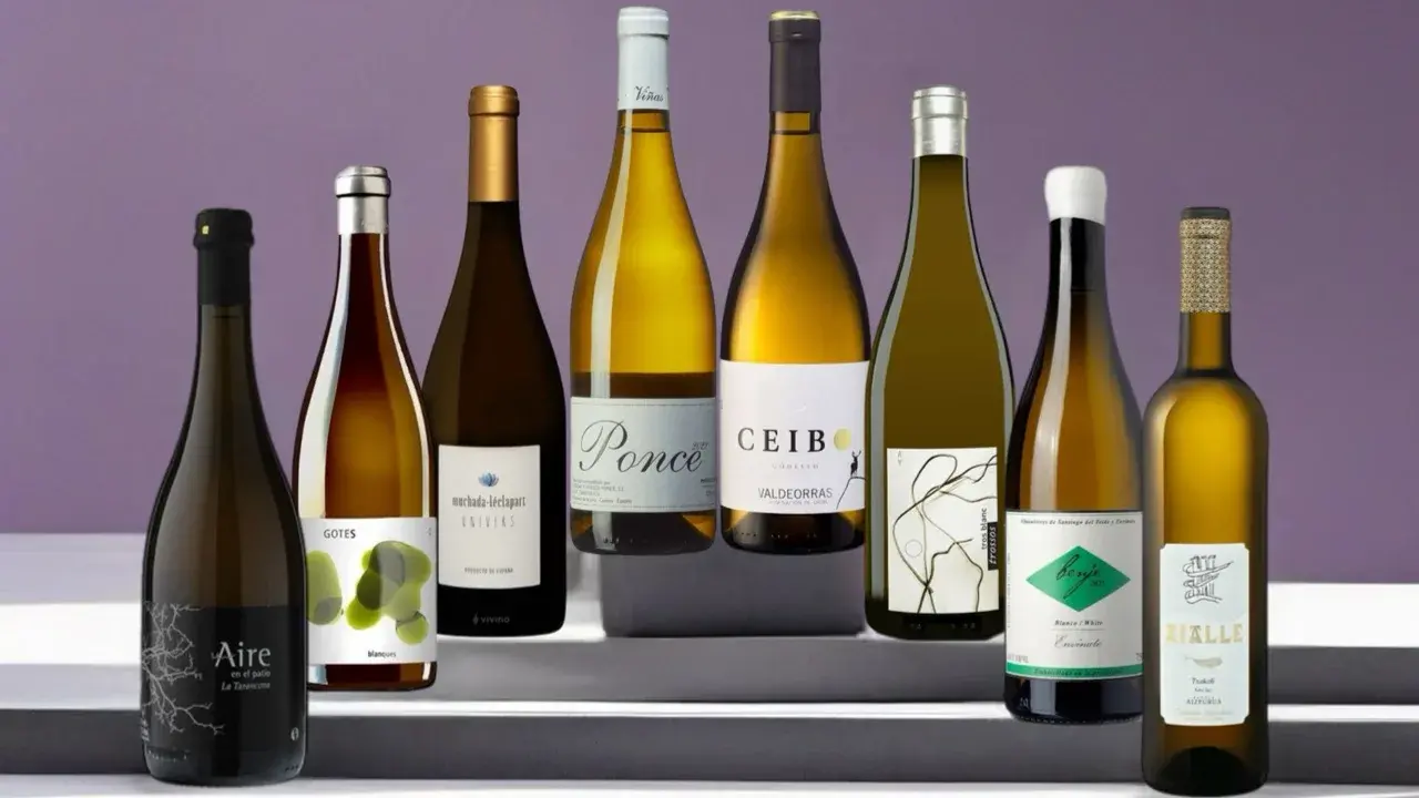 Дегустация белой испании