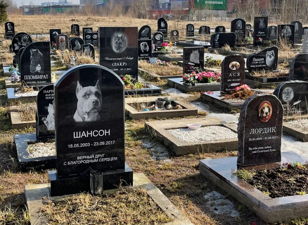 Краеведческая прогулка «Кладбище домашних животных»