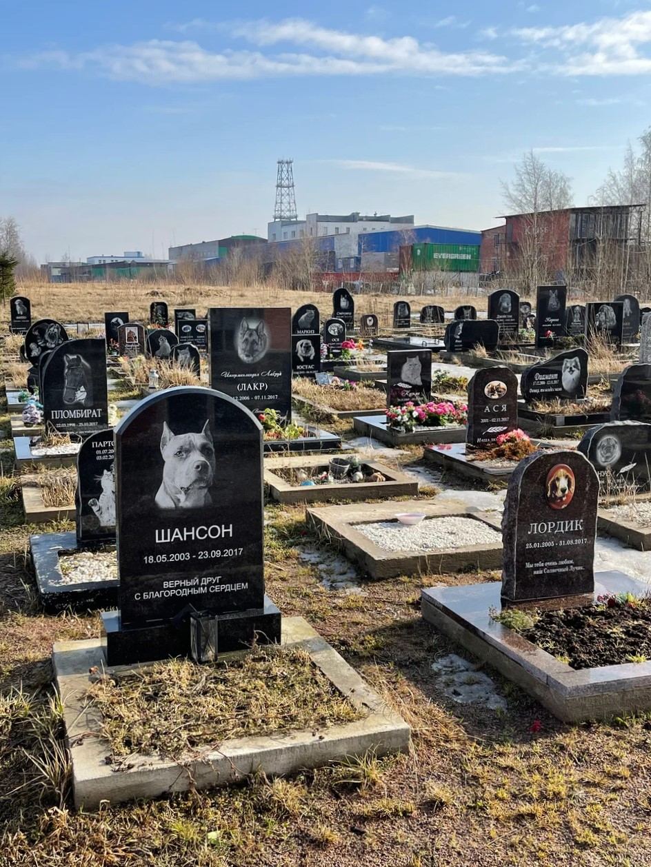 Краеведческая прогулка «Кладбище домашних животных»