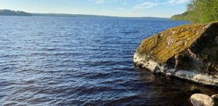 Виртуальная  прогулка "Золотистые берега Куолемаярви"
