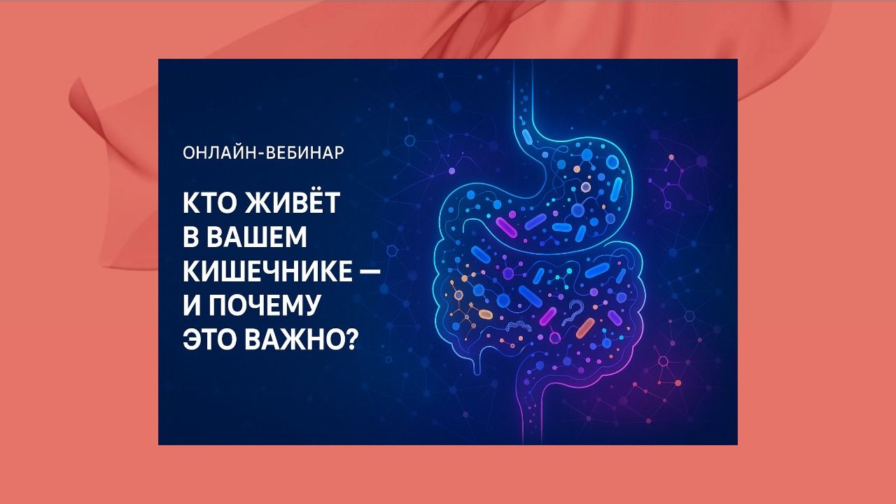 MITO BRUNCH онлайн