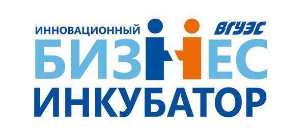 Инновационный бизнес-инкубатор ВГУЭС