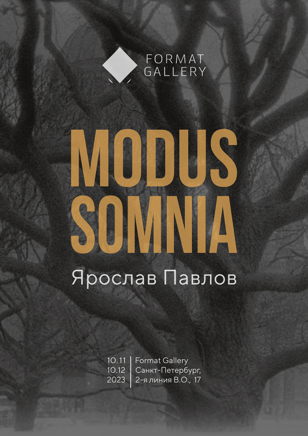 Арт-медиация по выставке Modus Somnia
