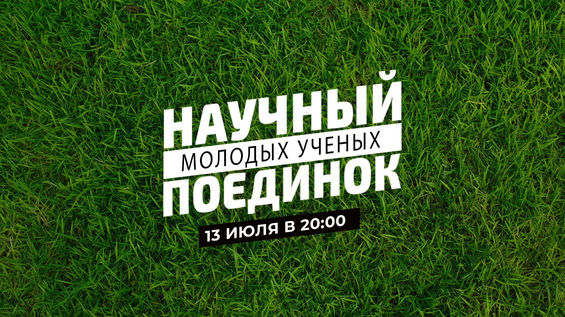 Газон проект тула