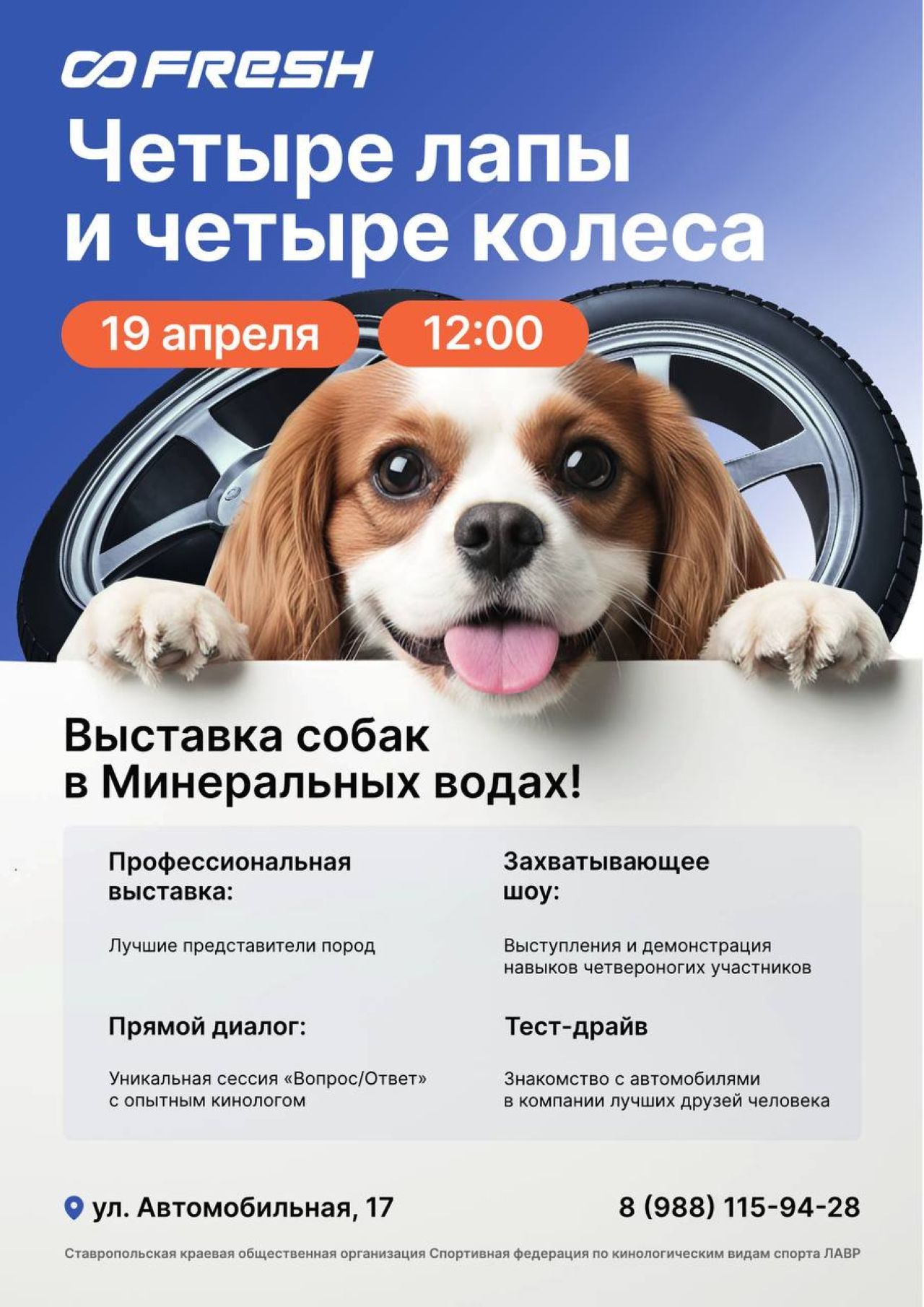 Четыре лапы и четыре колеса