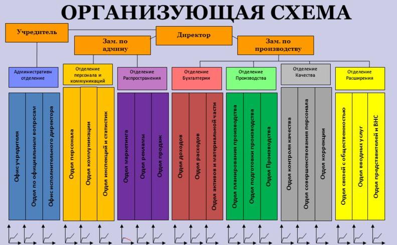 Орг схема организации