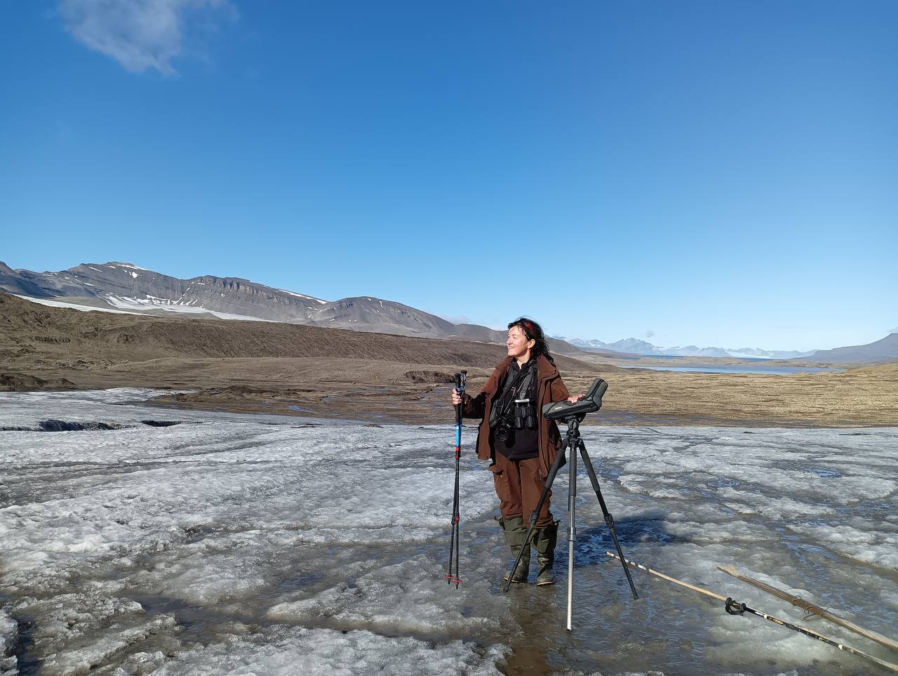 Пернатые истории Шпицбергена