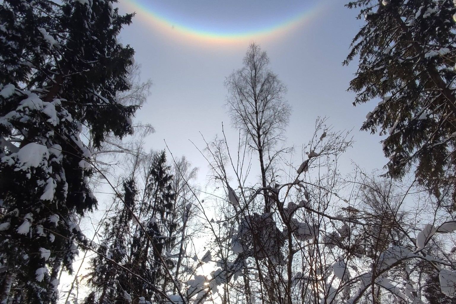 Лекция Павла Квартальнова "За летом зима, за зимою лето..."