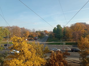 Сделано на Петергофской дороге