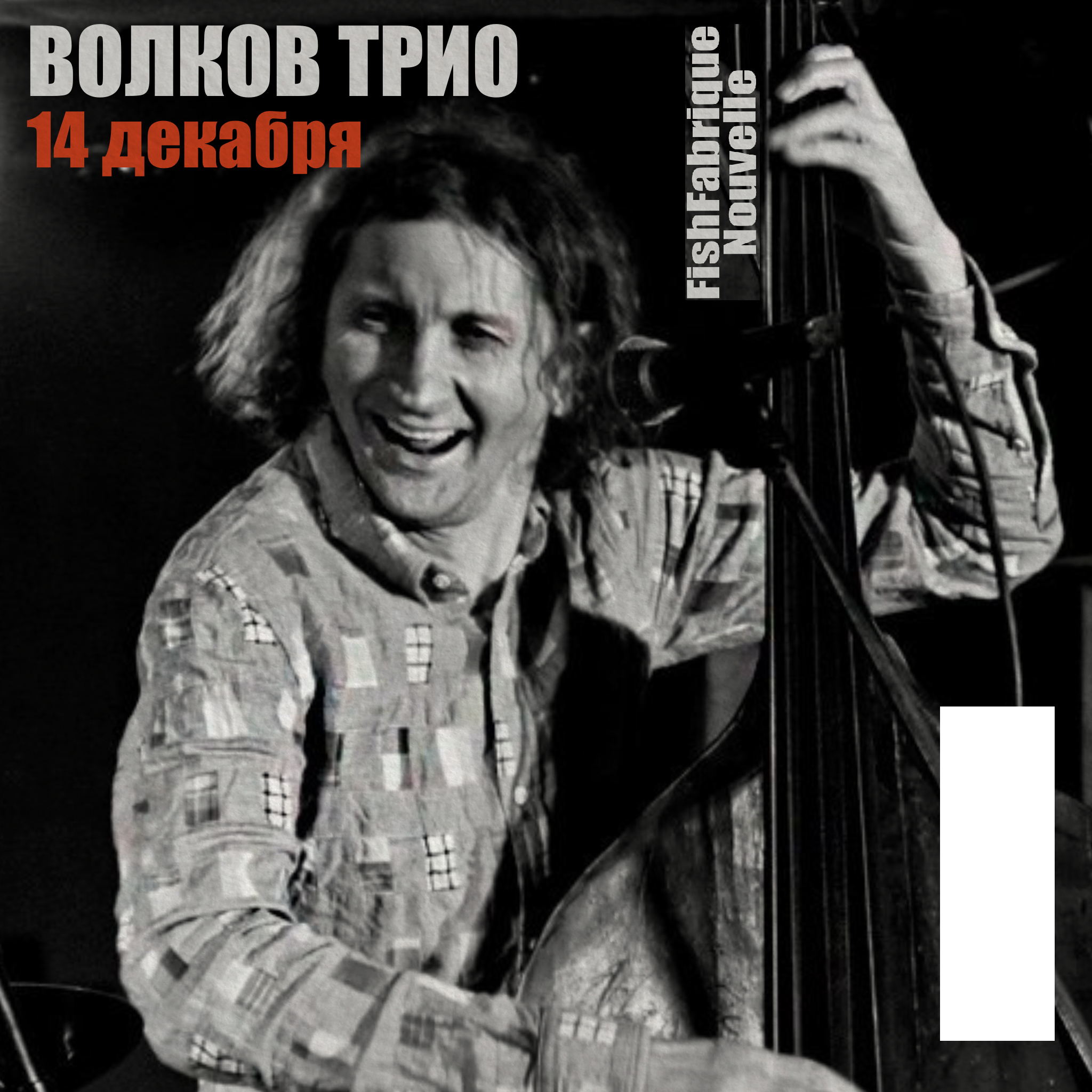 Волковтрио в Fish Fabrique