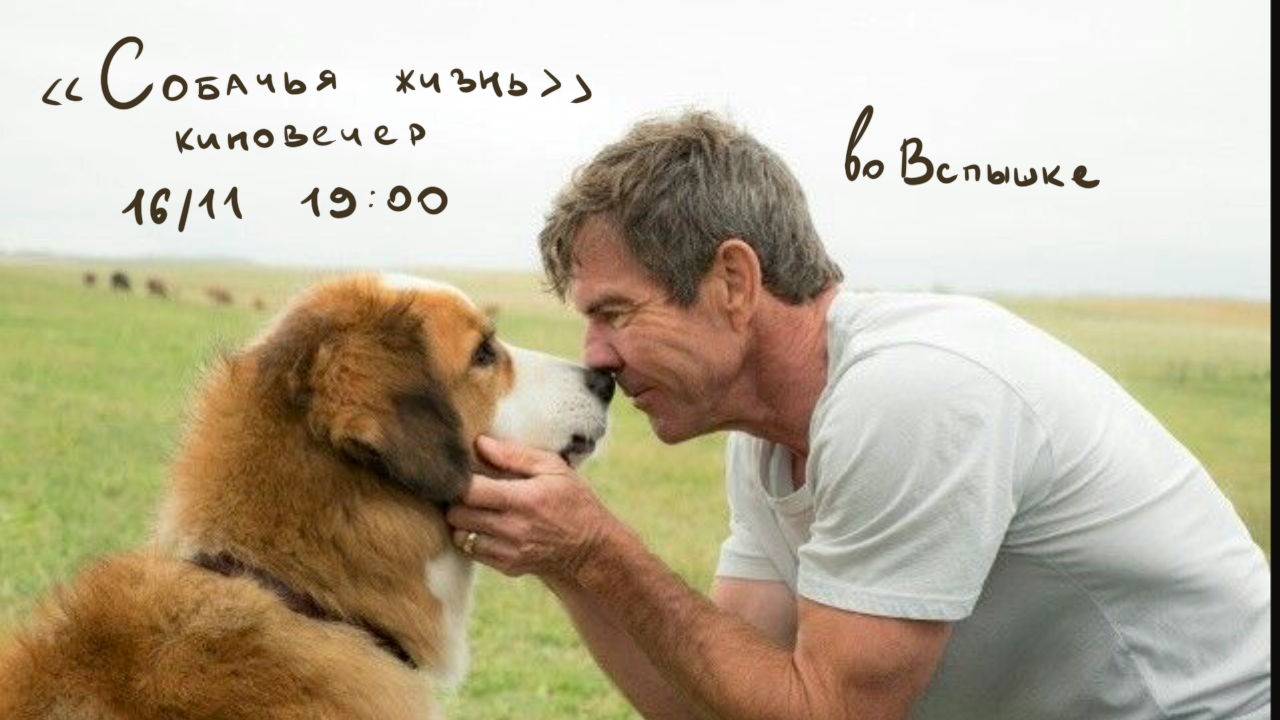 Киновечер «Собачья Жизнь»