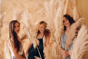 Amelie Acoustic Trio