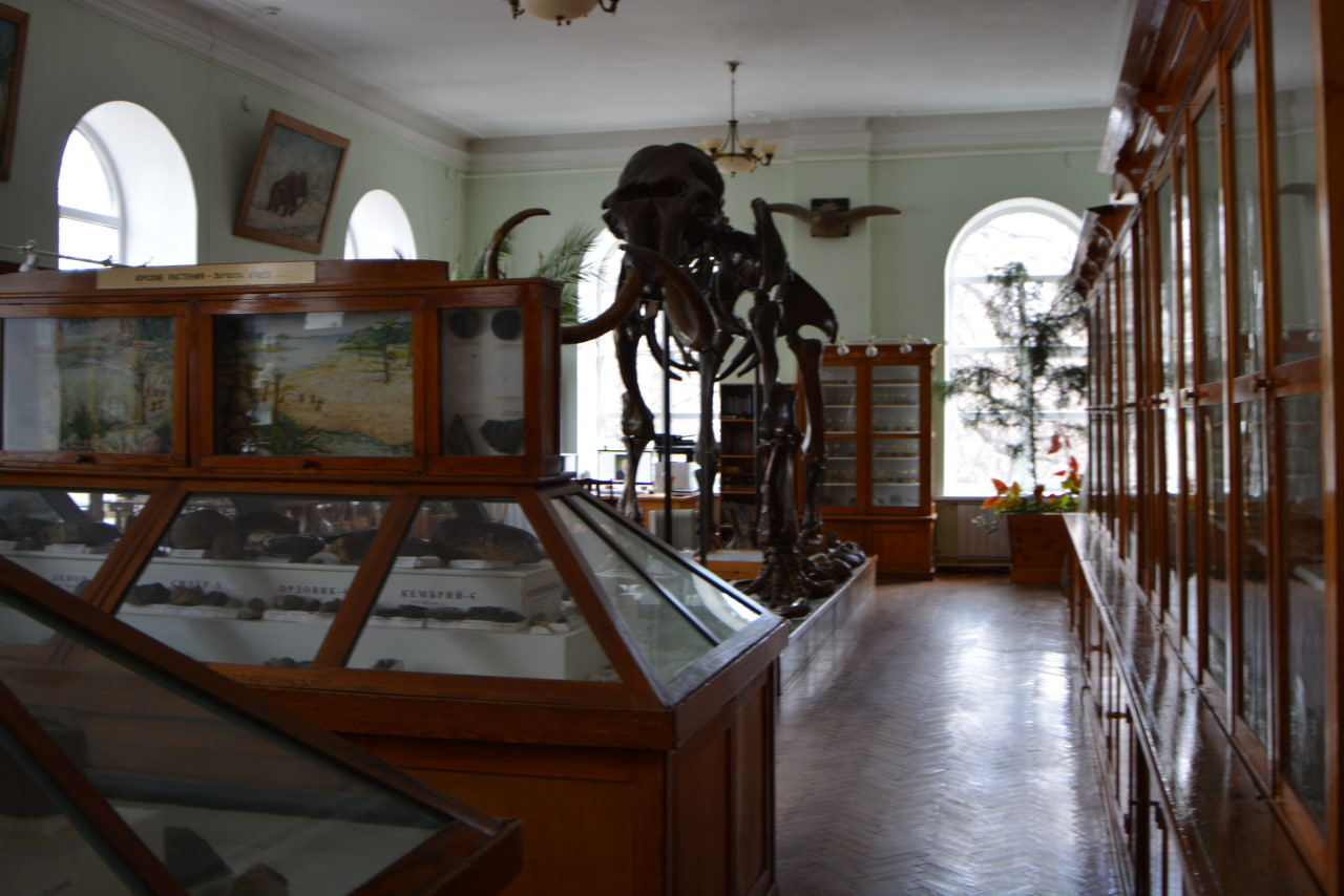 Университетский музей: для кого и для чего?